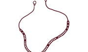 30249881010361--collection_3